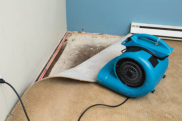 Water damage restoration process in AL